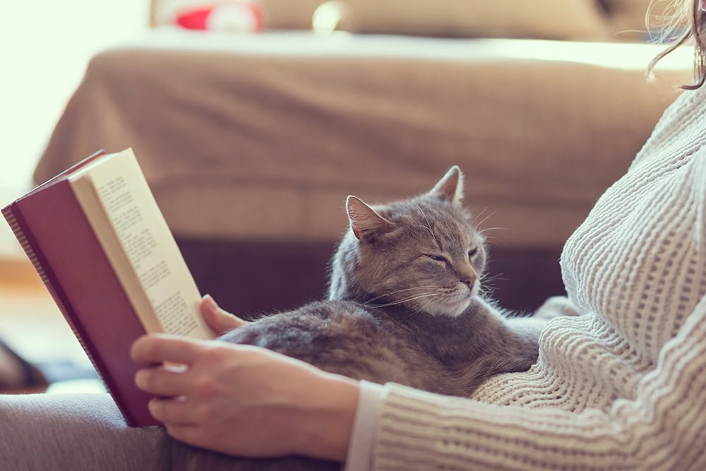 10 Best Books for Cat Lovers - 2026 Reviews & Top Picks