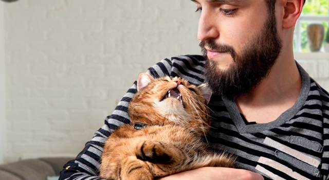 Why Does My Cat Meow When I Sneeze? 5 Common Reasons