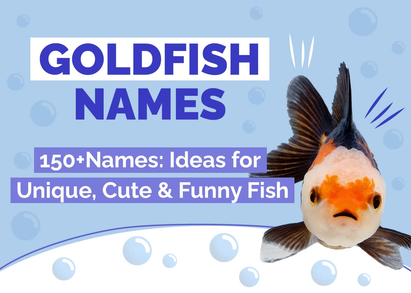 150+ Goldfish Names: Ideas for Unique, Cute & Funny Fish