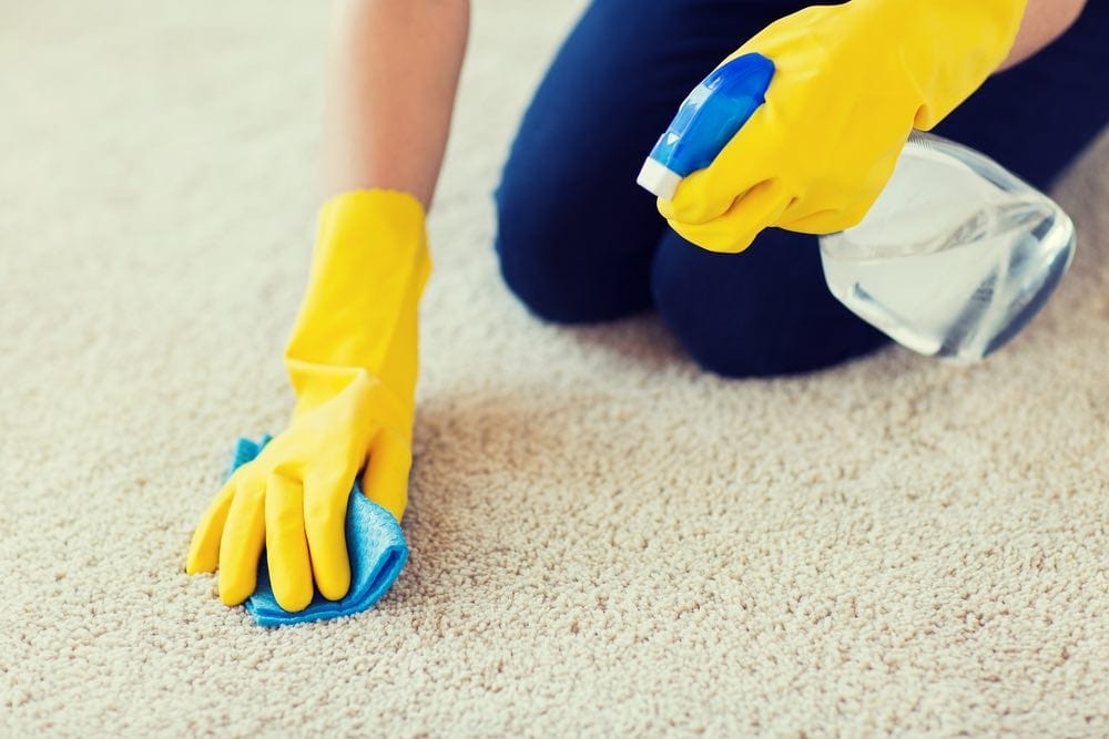 cleaning floor carpet with spray rubber gloves