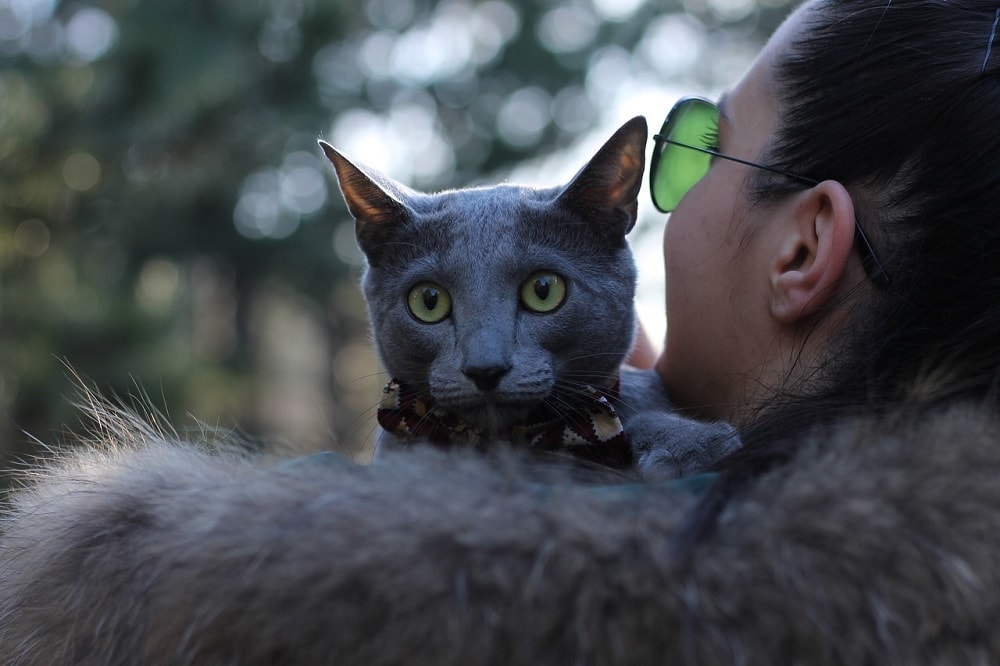 11 Reasons Why Adopting a Pet Is Better Than Buying