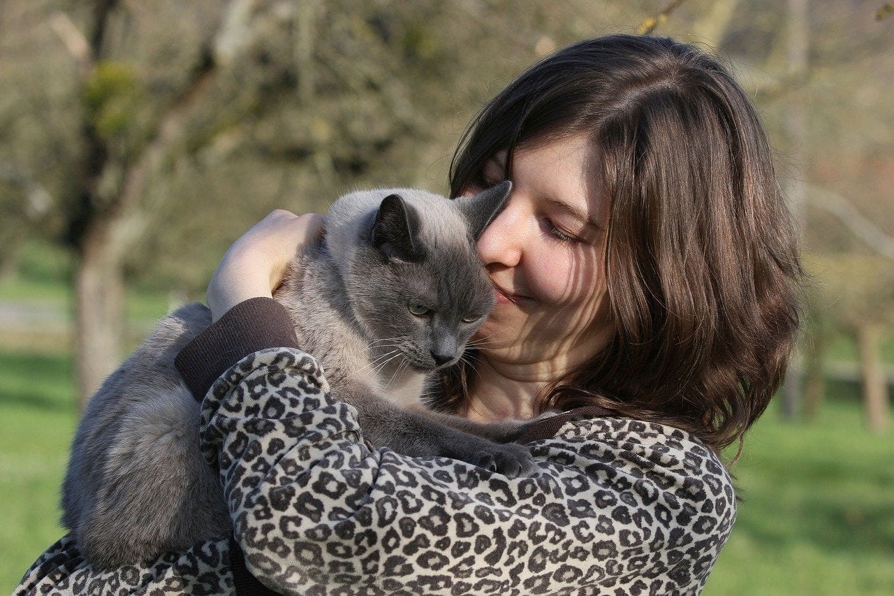 10 Best Hypoallergenic Cat Breed: Vet-Approved Facts & FAQ