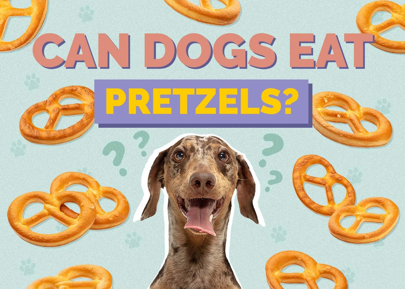 Can Dogs Eat Pretzels? Vet-Verified Nutritional Facts & Safety Guide