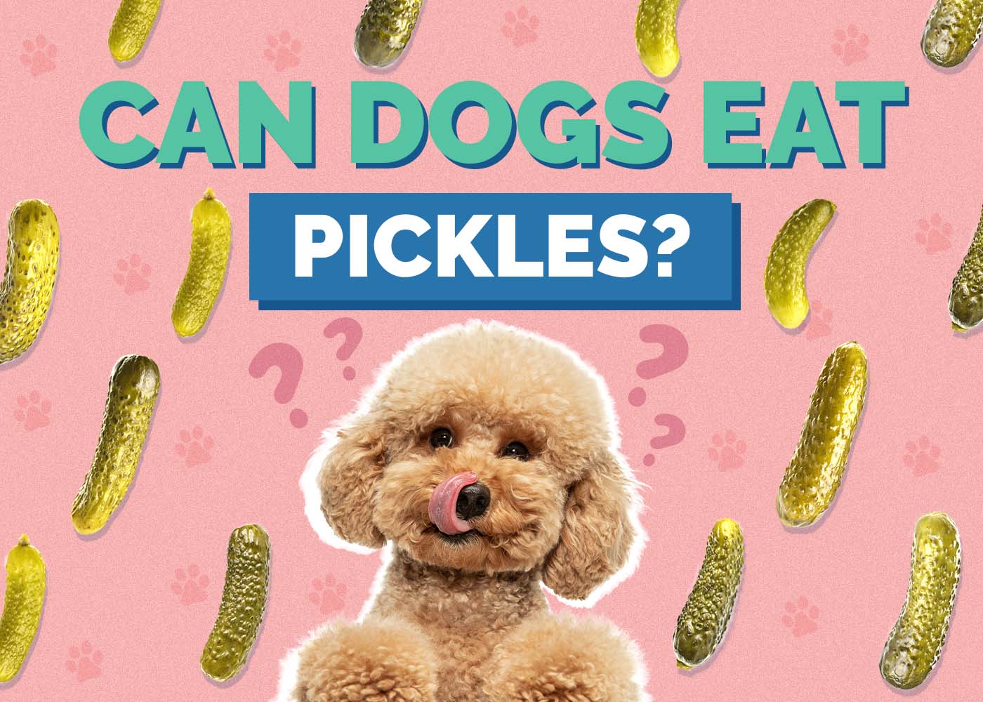 Can Dogs Eat Pickles? Vet Approved Safety Facts & FAQ