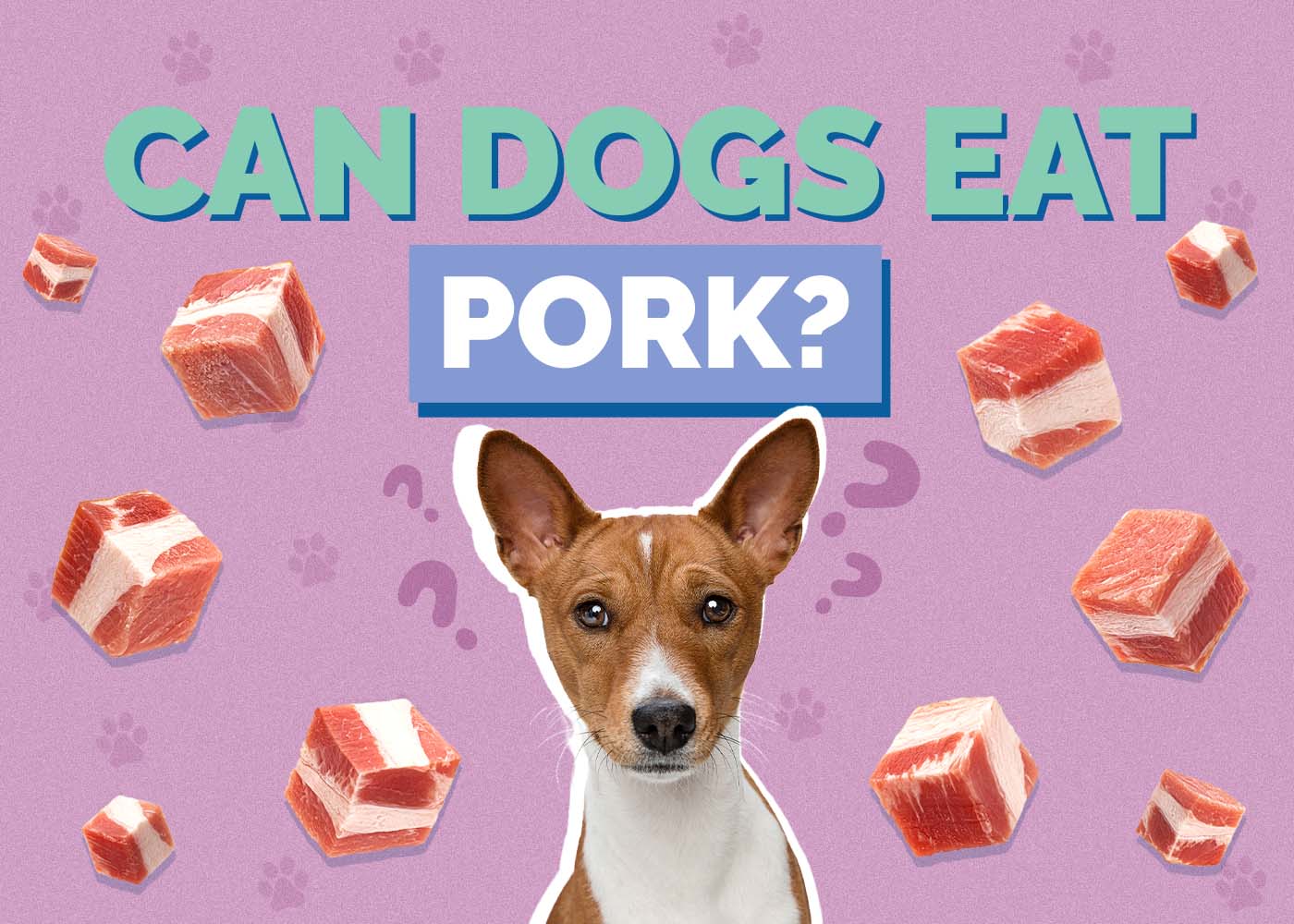 Can Dogs Eat Pork? What You Need to Know!