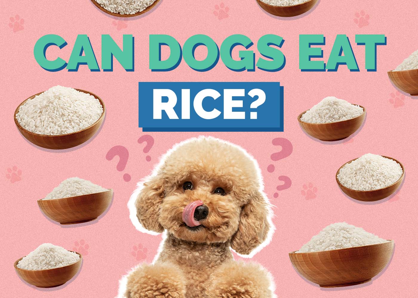 Can Dogs Eat Rice? Vet-Reviewed Nutrition Facts
