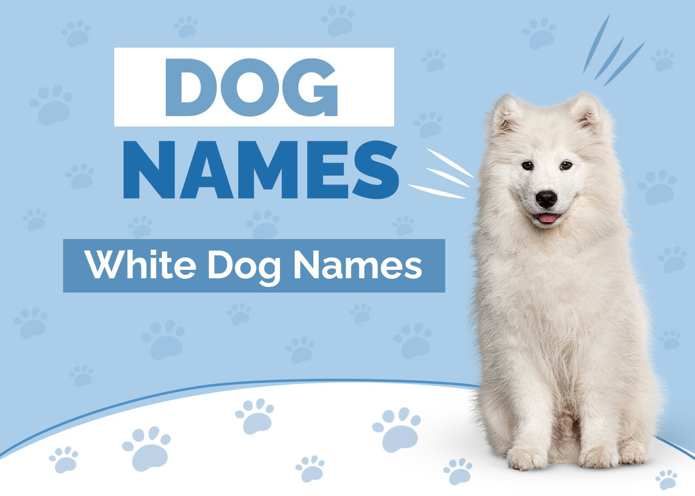 100+ White Dog Names: Top Picks for Crisp & Clean Pups