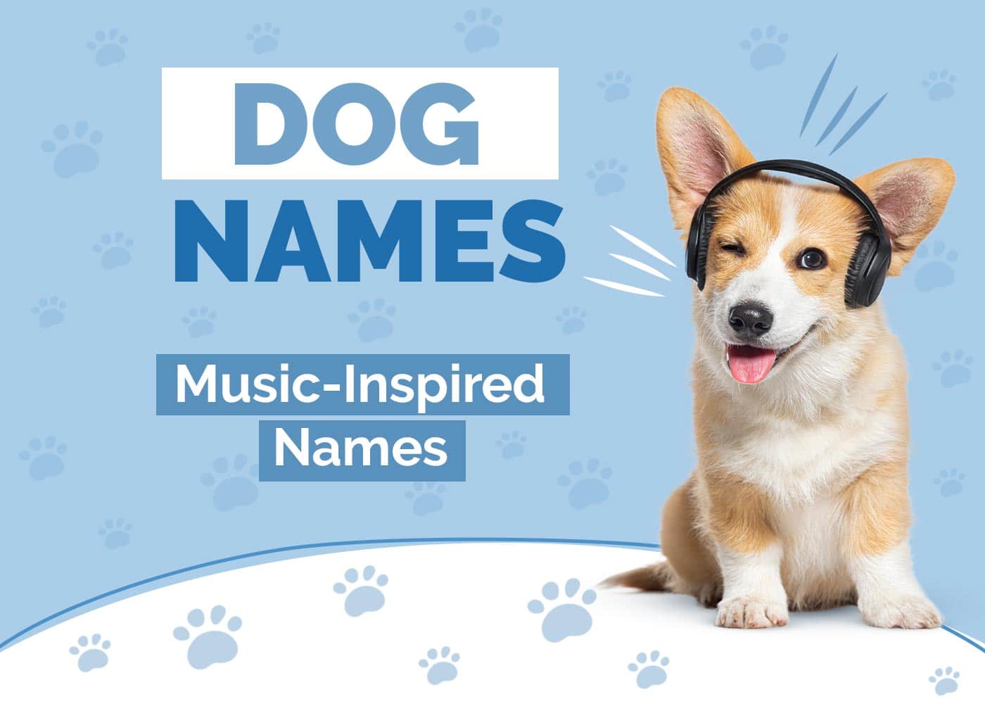100+ Music Inspired Dog Names: Melodic & Tuneful Ideas