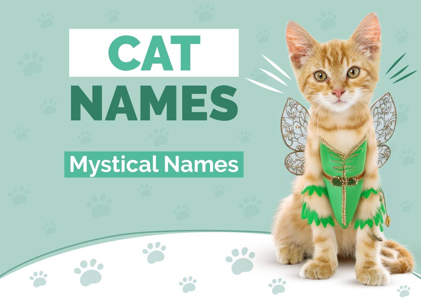 200 Mystical Cat Names for Magical Kitties