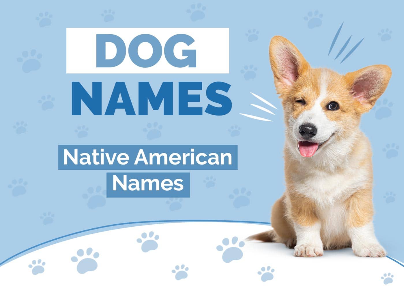 100+ Native American Dog Names: Authentic & Indigenous Ideas