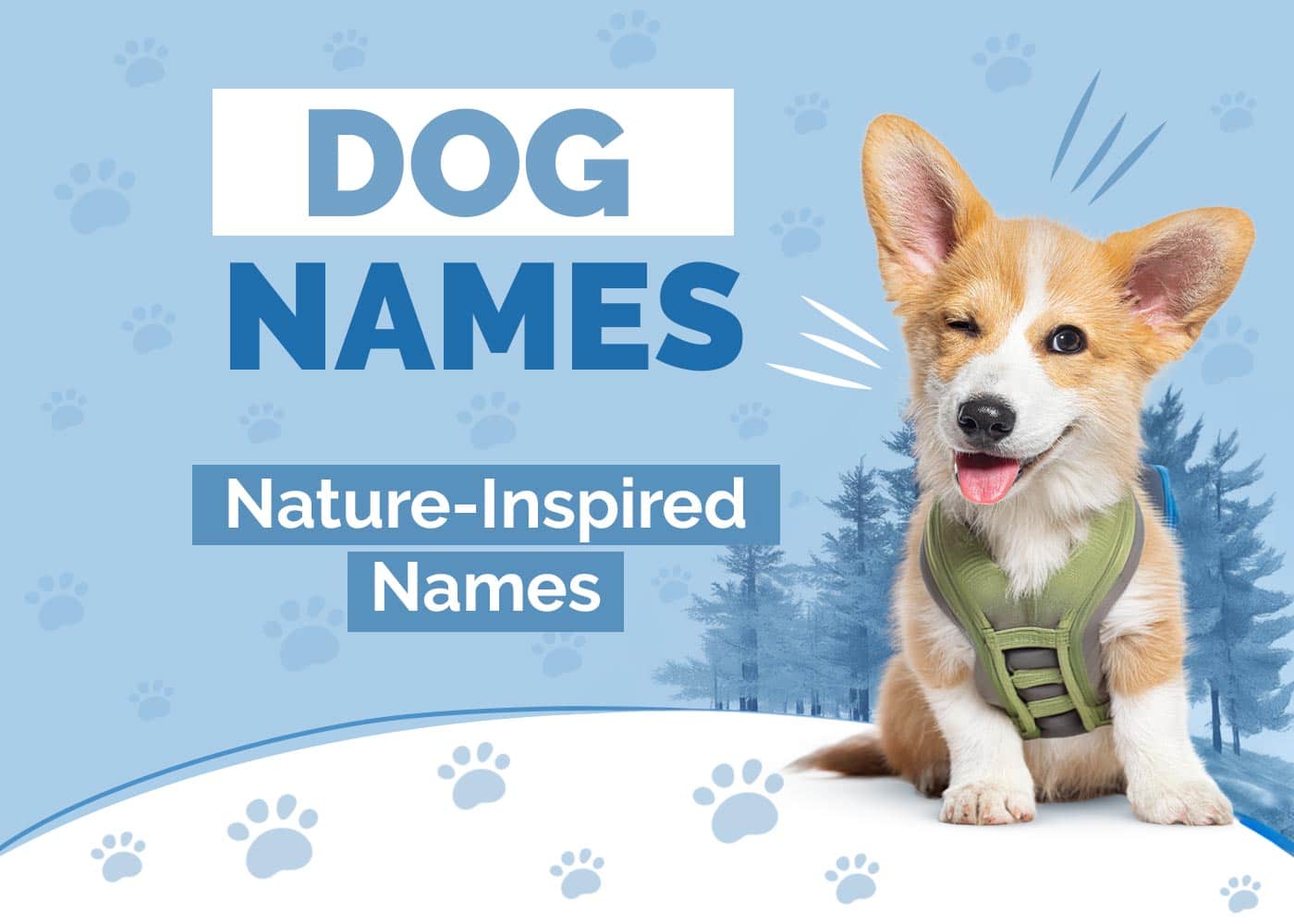190 Nature Dog Names for Adventurous Outdoor Enthusiasts