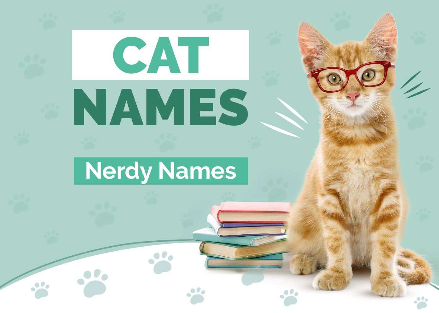 120+ Nerdy Cat Names: Our Top Picks for your Geeky Cat