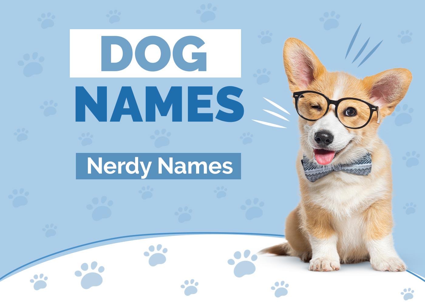 280+ Nerdy Dog Names: Geeky & Brainy Ideas for Your Pet