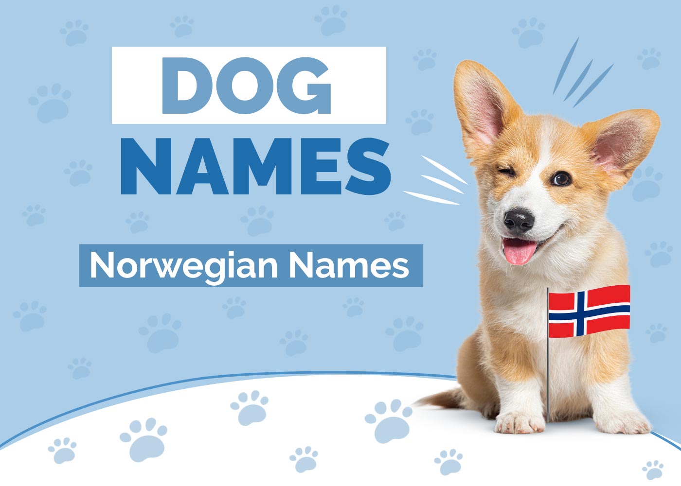 100+ Norwegian Dog Names & Meanings: Popular Norse Ideas