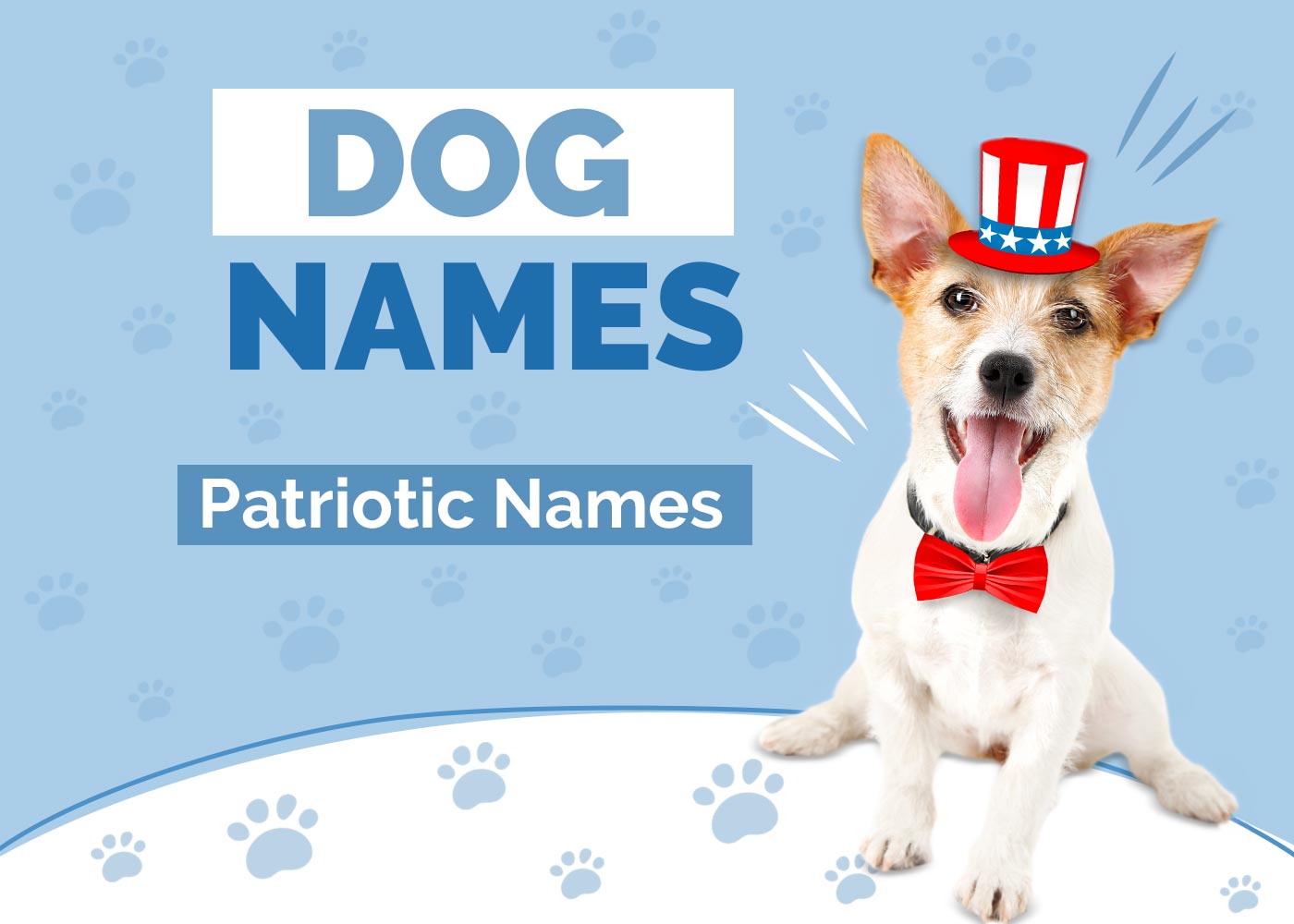 160+ Patriotic Dog Names: Strong, Proud & All-American Ideas