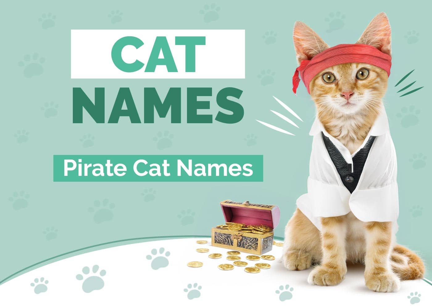 325+ Pirate Cat Names: Ideas for Your Plundering & Mischievous Cat