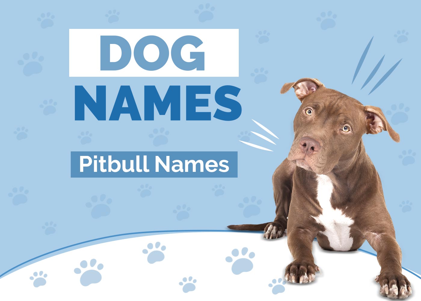 100+ Pitbull Names: Ideas for Tough & Smart Dogs