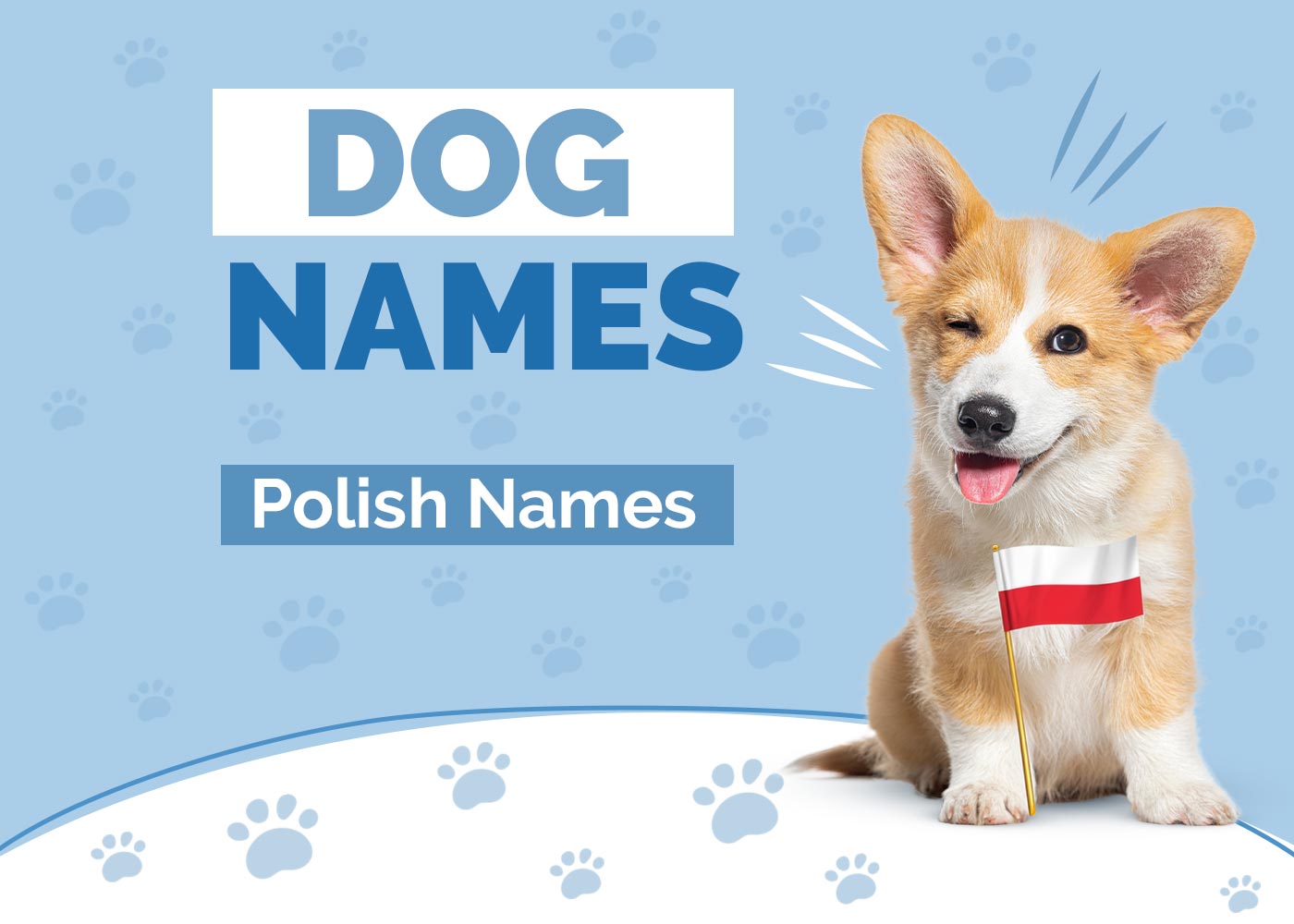 100+ Polish Dog Names: Ideas for Brave & Cheerful Dogs