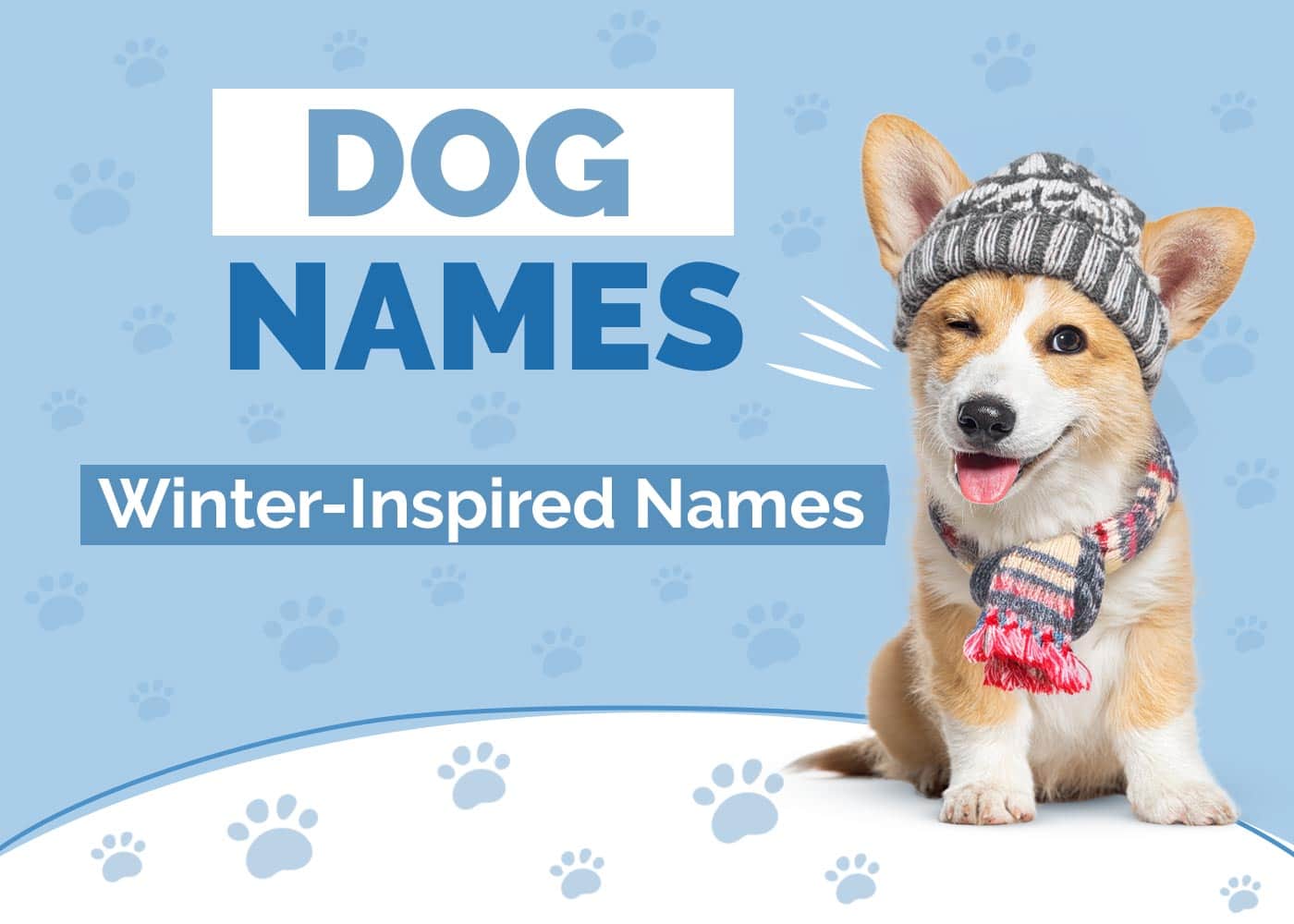 100+ Dog Names Inspired by Winter: Ideas for Brave & Cuddly Dogs