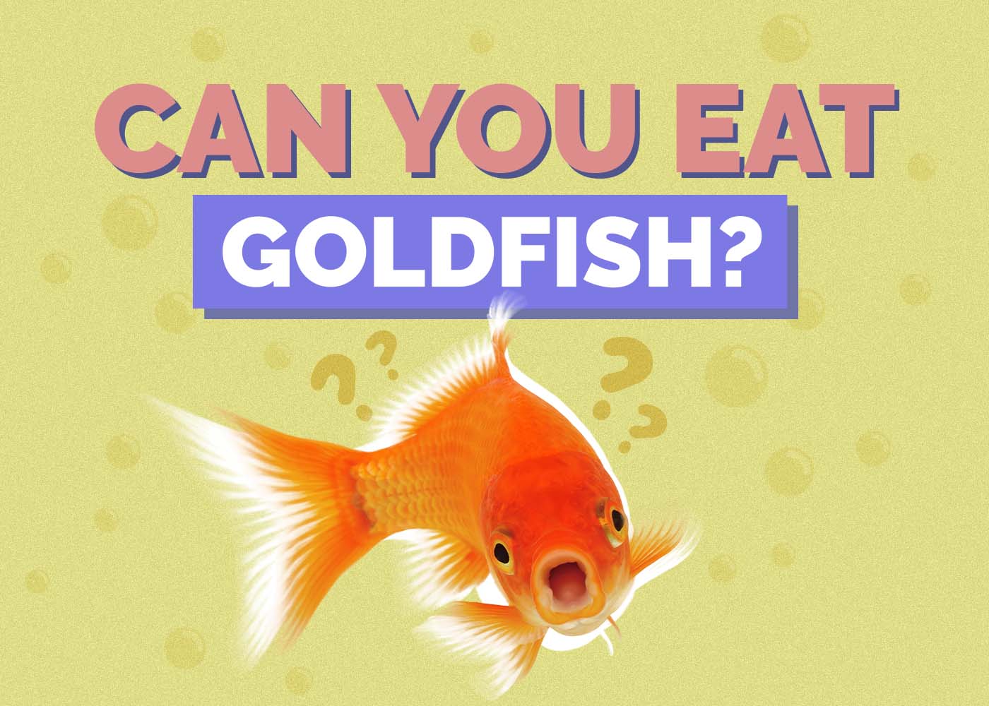 Can You Eat Goldfish? Why Swallowing Fish is a Bad Idea