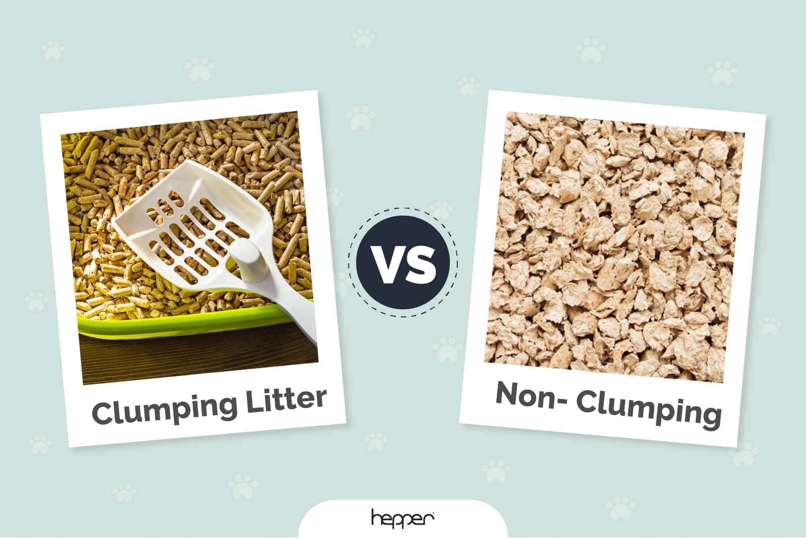 Clumping vs Non-Clumping Cat Litter, Which Type Is Best? (Pictures & Info)