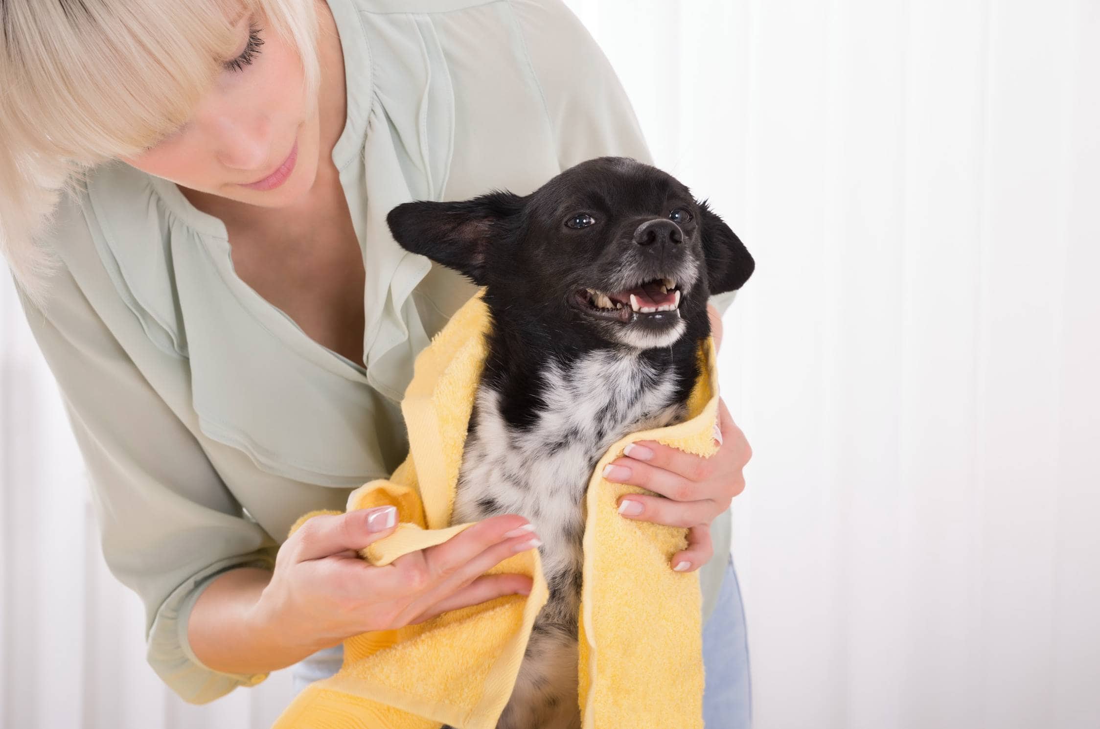 9 Best Organic & Natural Dog Shampoos of 2026 - Reviews & Top Picks