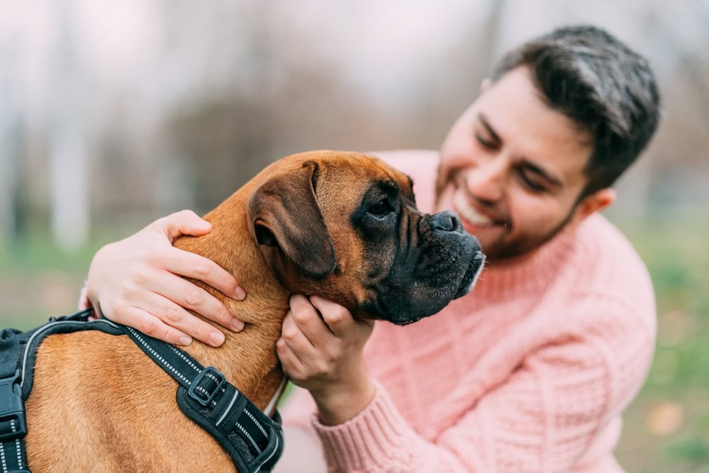 young man with his boxer dog in the park
