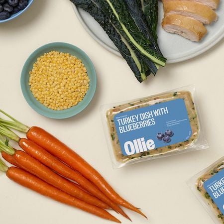 Ollie Fresh Turkey Recipe