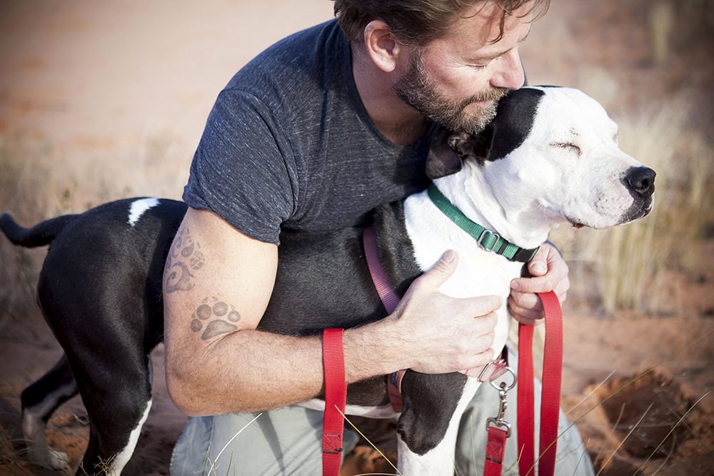 10 Best Dog Leashes for Pitbulls of 2026 – Reviews & Top Picks
