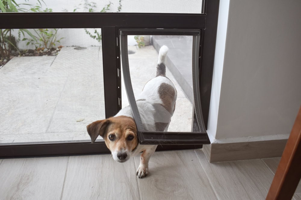 9 Best Dog Doors in 2026 - Reviews, Top Picks, & Guide