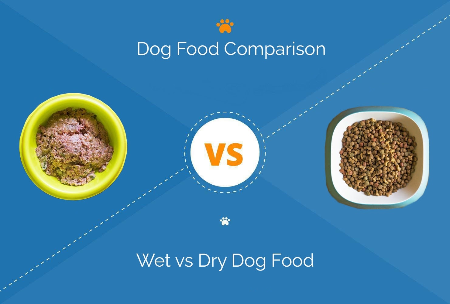 Wet vs Dry Dog Food: Which to Choose for Your Dog?
