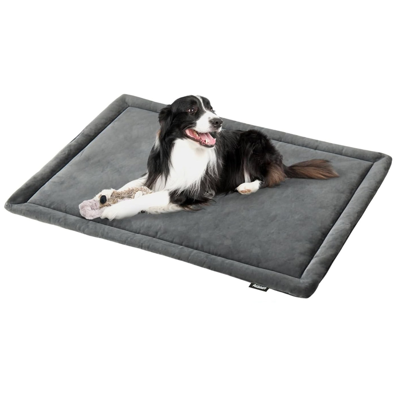 Allisandro Water-Proof Dog Bed