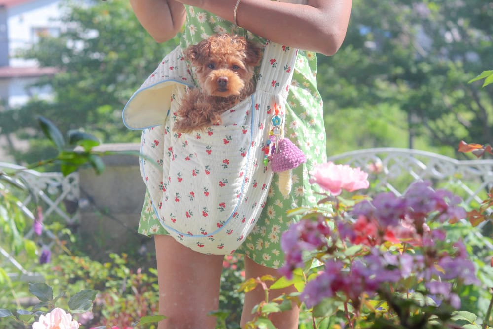 5 DIY Dog Carrier Slings You Can Make Today (With Pictures)