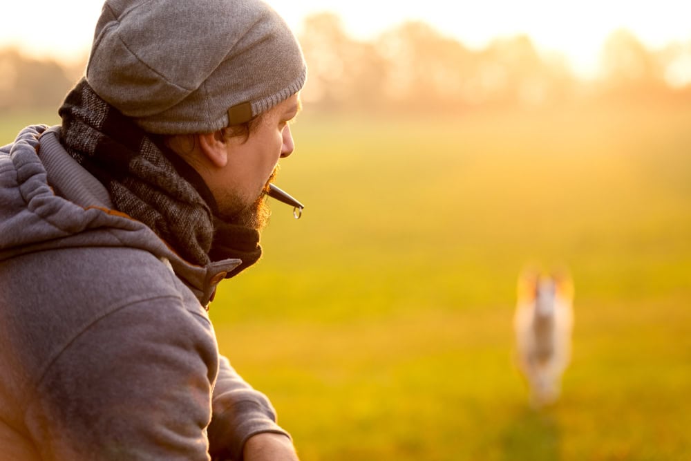 8 Best Dog Whistles for Training & Hunting - Reviews & Top Picks in 2026