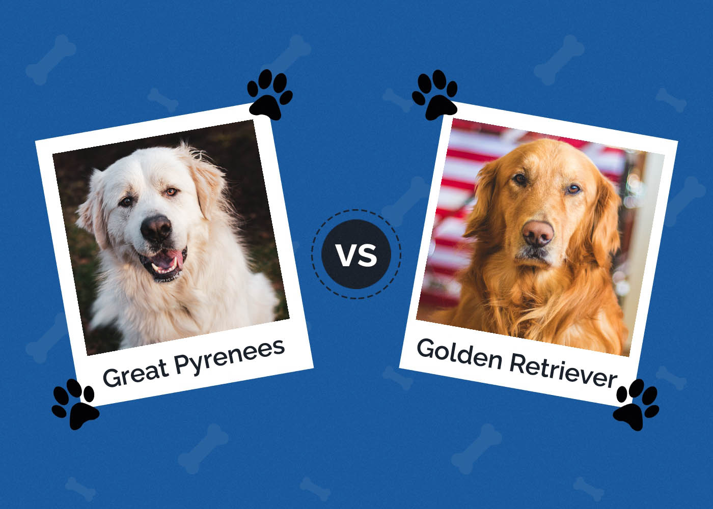 Great Pyrenees vs Golden Retriever: Which One to Choose?