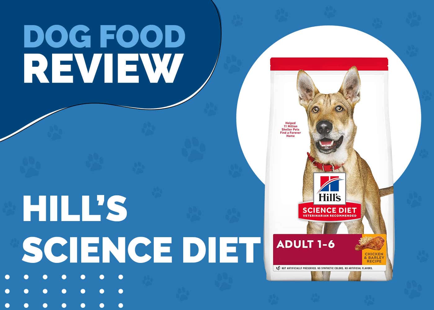 Hill's Science Diet Dog Food Review 2026: Recalls, Pros & Cons