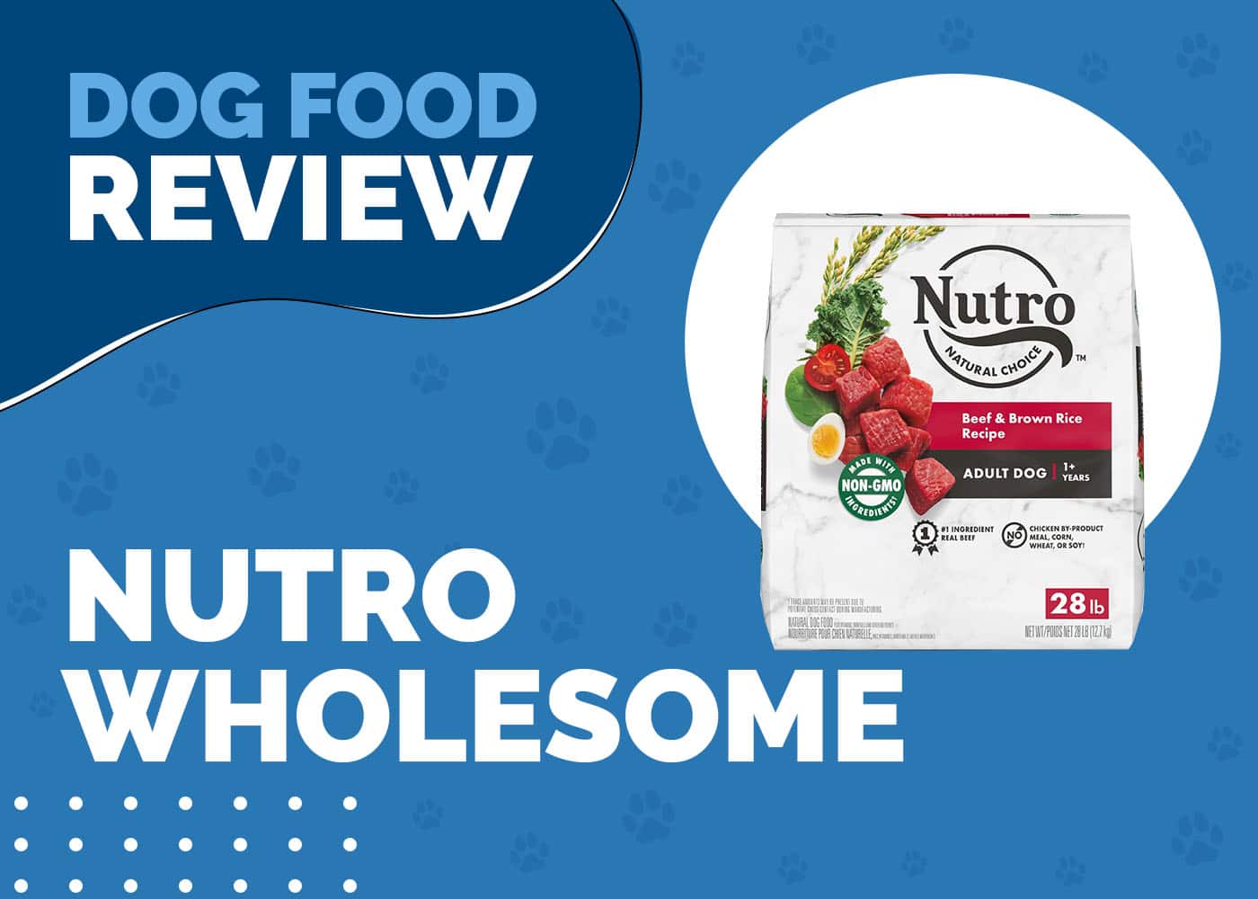 Nutro Wholesome Essentials Dog Food Review 2026: Recalls, Pros, and Cons