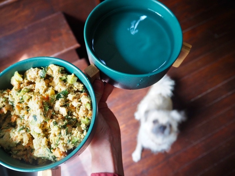 8 Best Fresh Dog Food Delivery Services in 2026 - Reviews & Top Picks