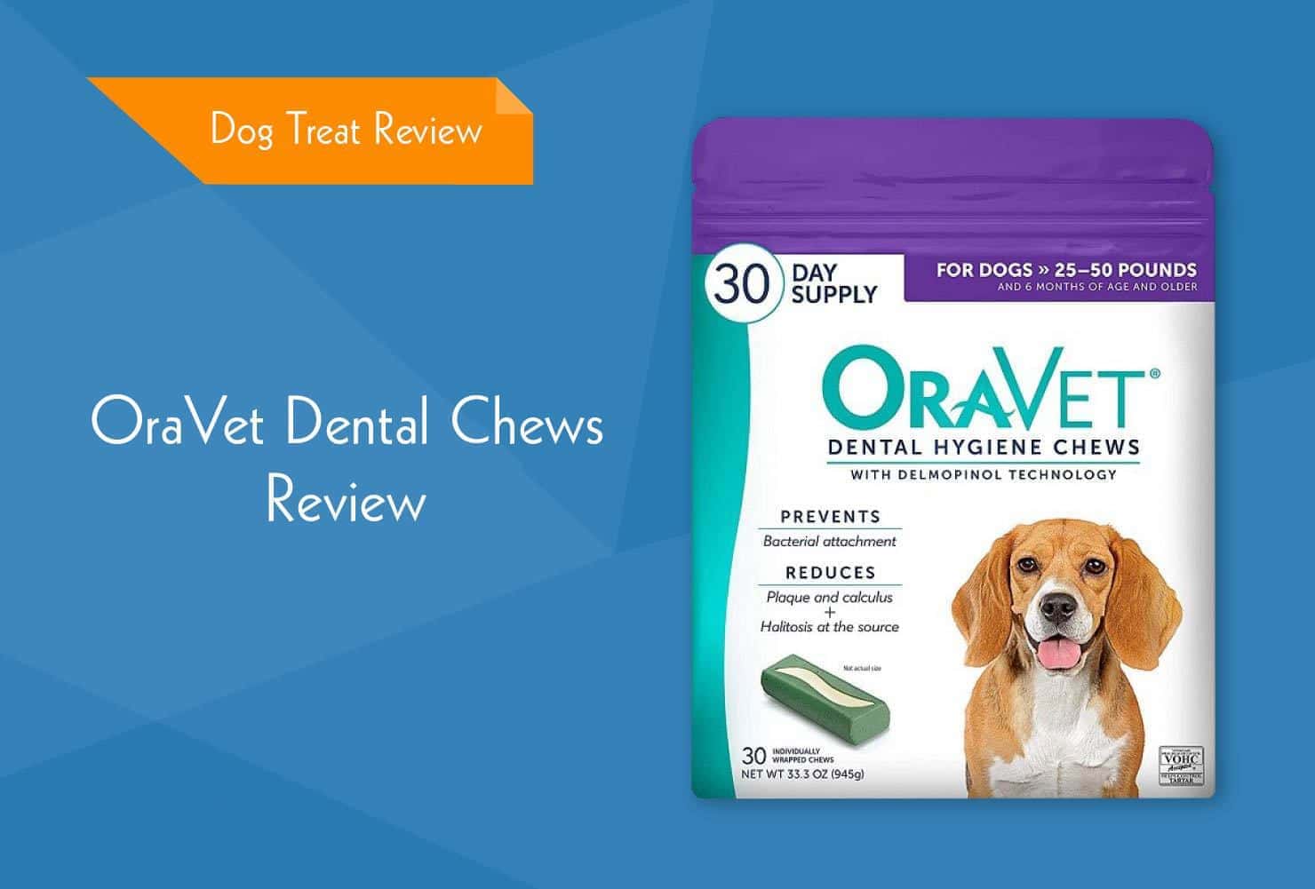 OraVet Dental Chews Review 2026: Recalls, Pros & Cons