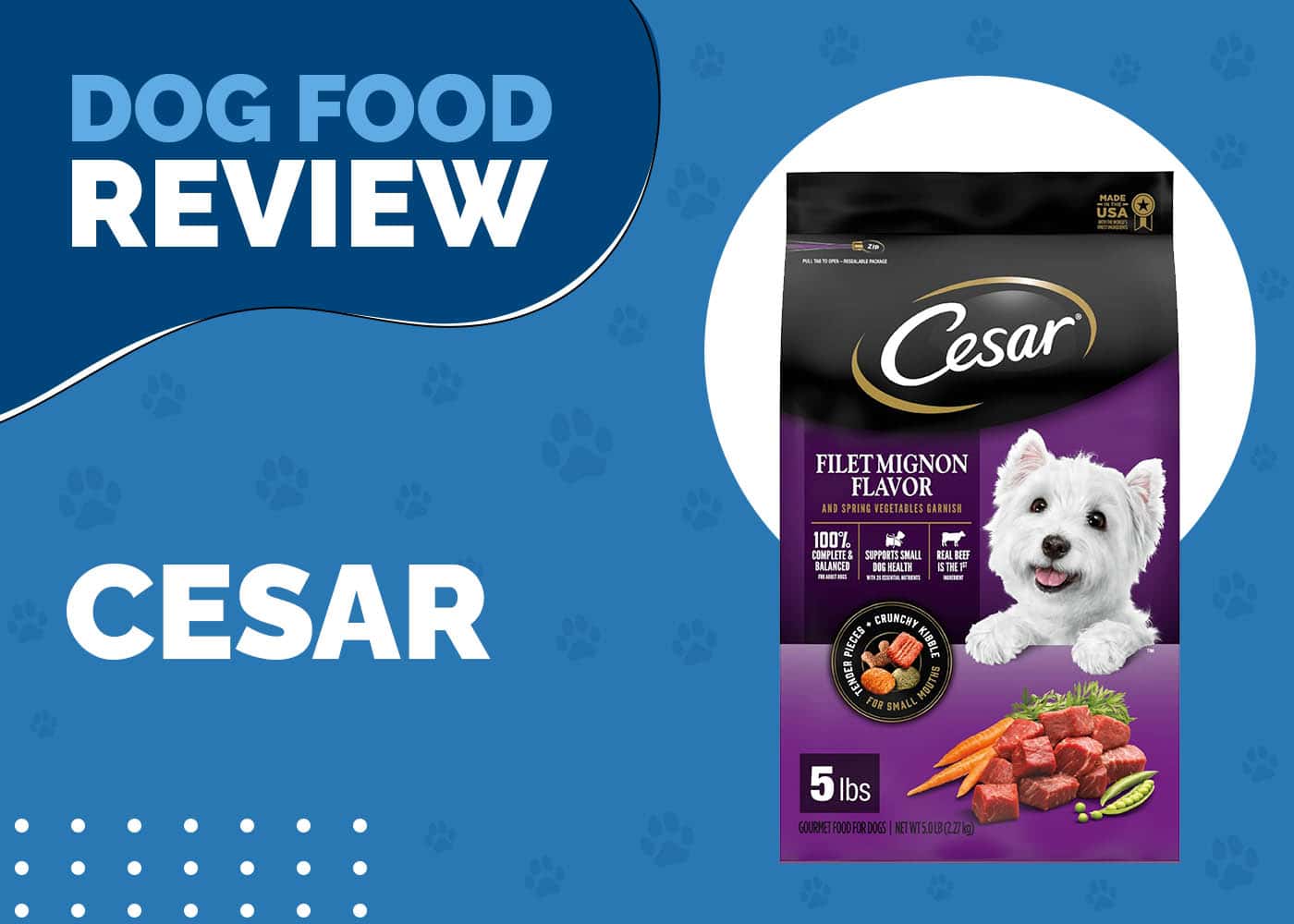 Cesar Dog Food Review 2026: Recalls, Pros & Cons