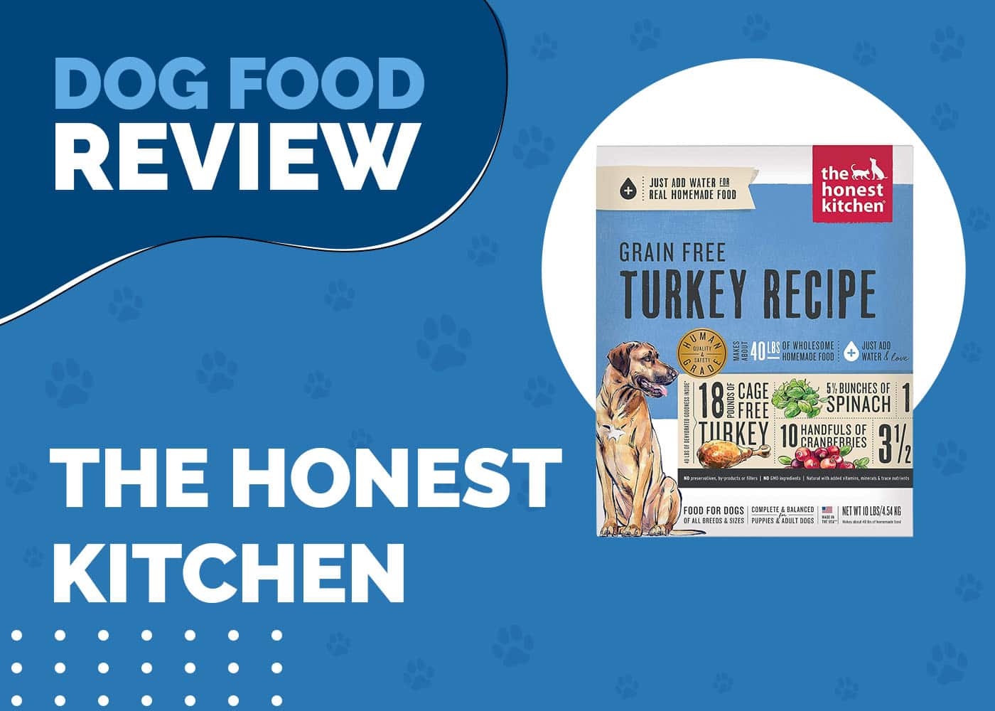 The Honest Kitchen Dog Food Review 2026: An Expert Guide