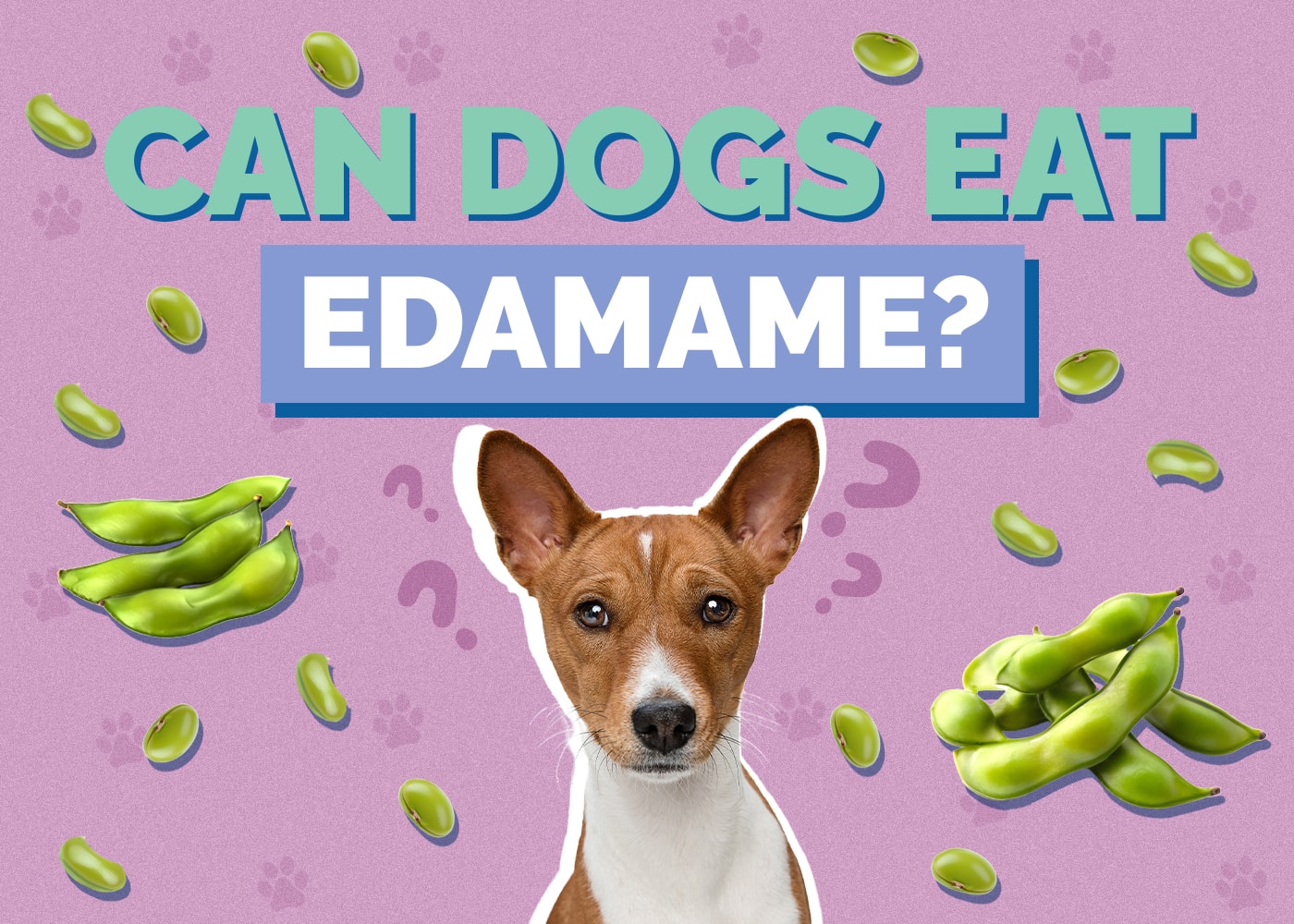Can Dogs Eat Edamame? Vet-Approved Nutrition Facts & Safety Guide