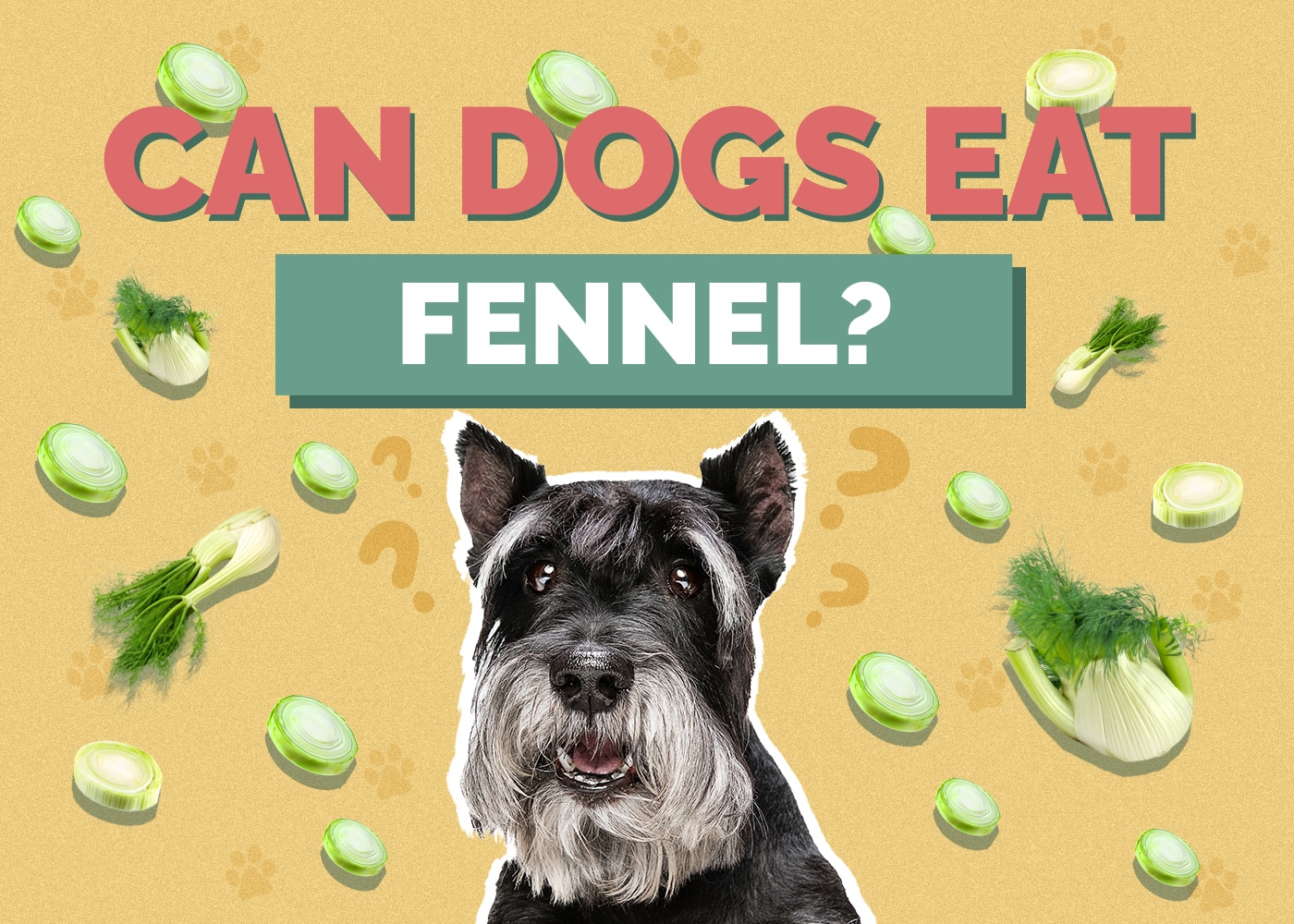 Can Dogs Eat Fennel? Vet Approved Facts & FAQ