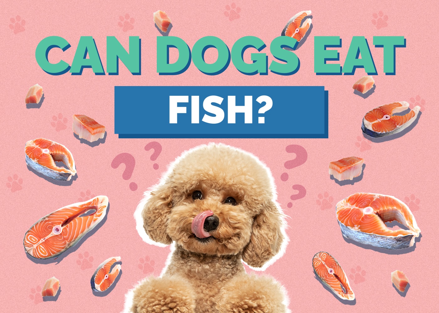 Can Dogs Eat Fish? Is Fish Safe for Dogs? Vet-Approved Facts