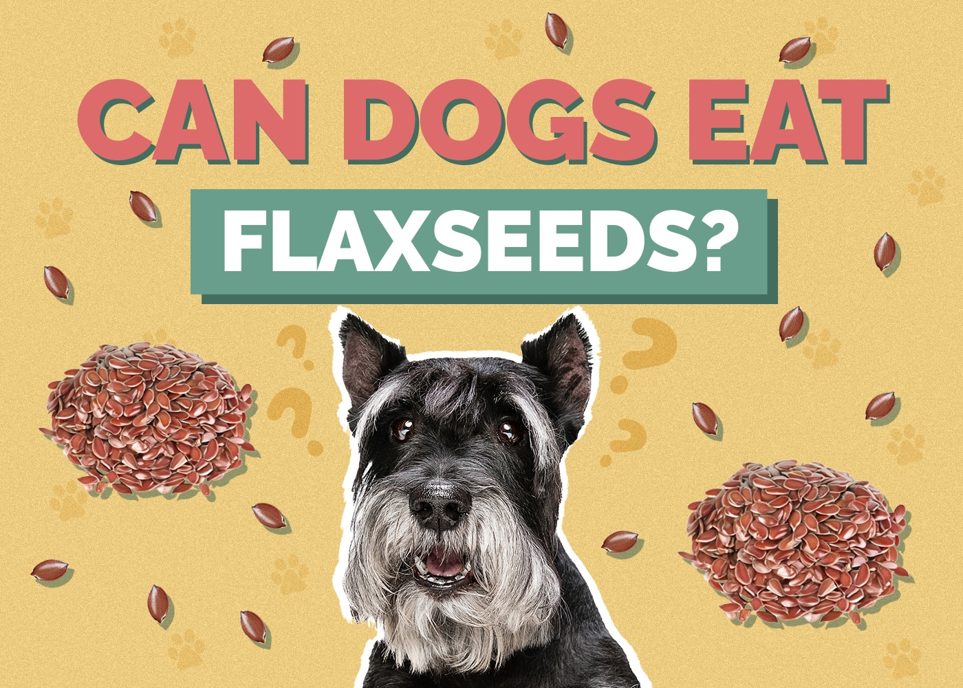 Can Dogs Eat Flaxseed? Vet-Reviewed Nutrition Facts & FAQ