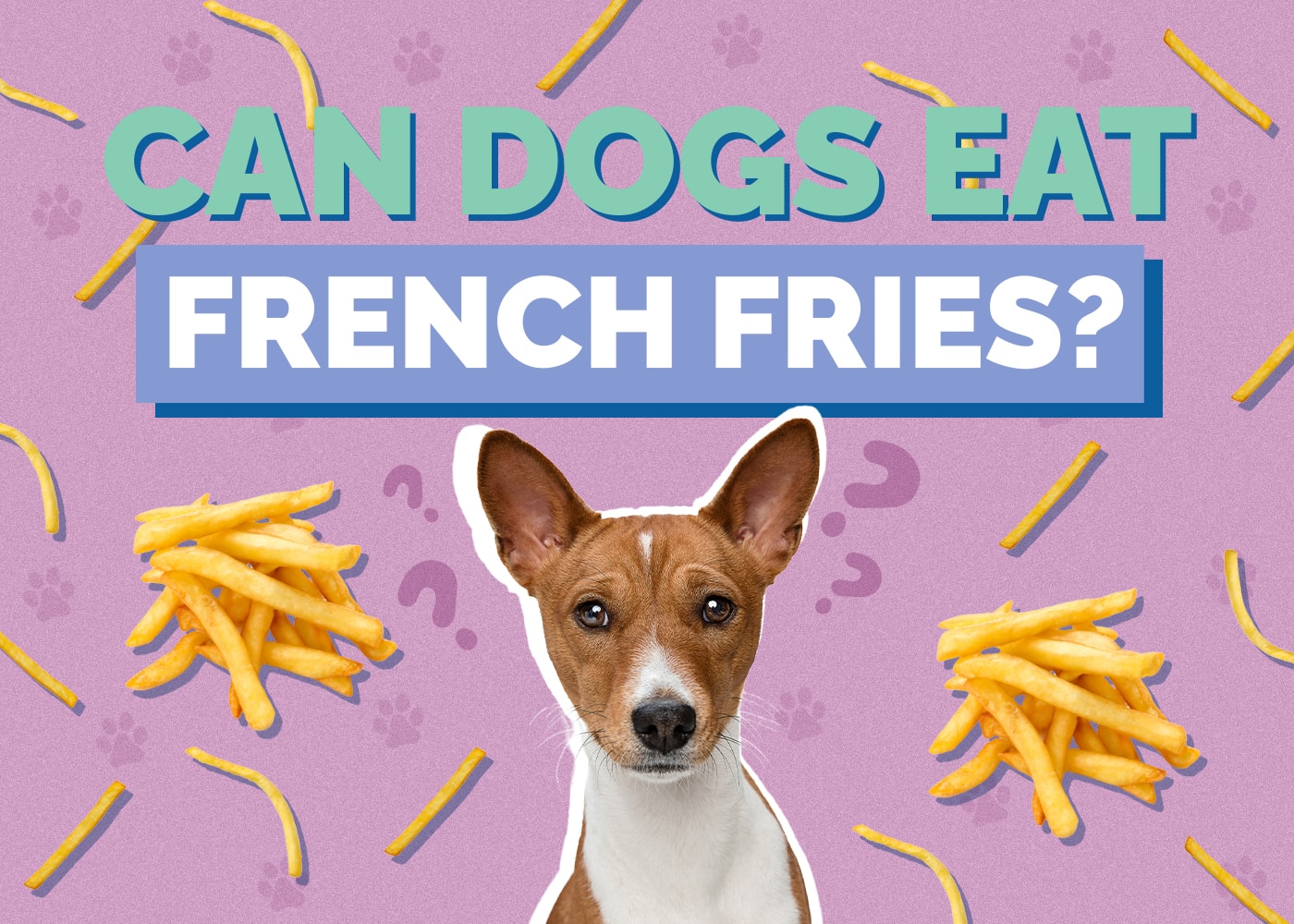 Can Dogs Eat French Fries? Are French Fries Safe for Dogs?