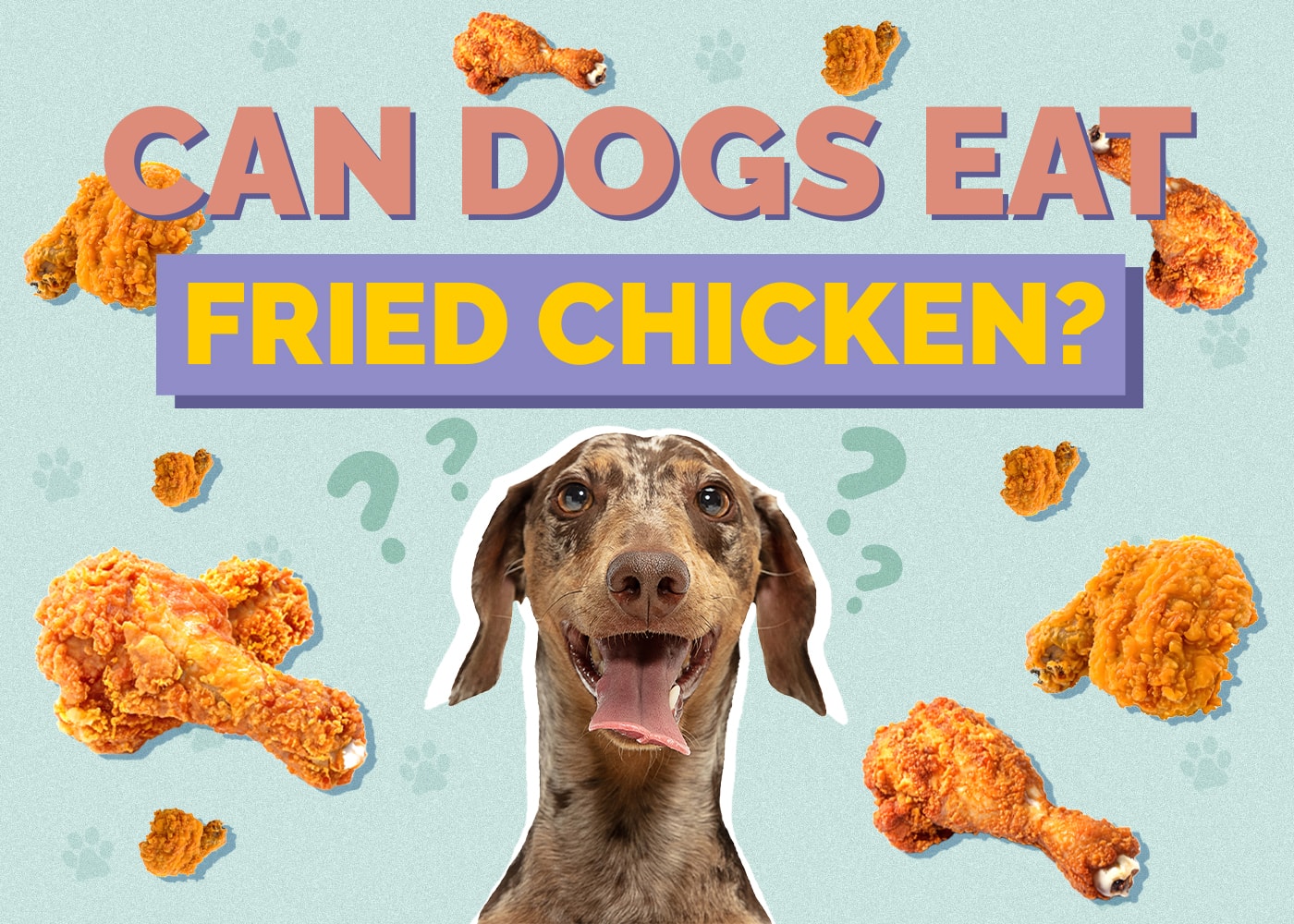Can Dogs Eat Fried Chicken? Vet Approved Facts & FAQ