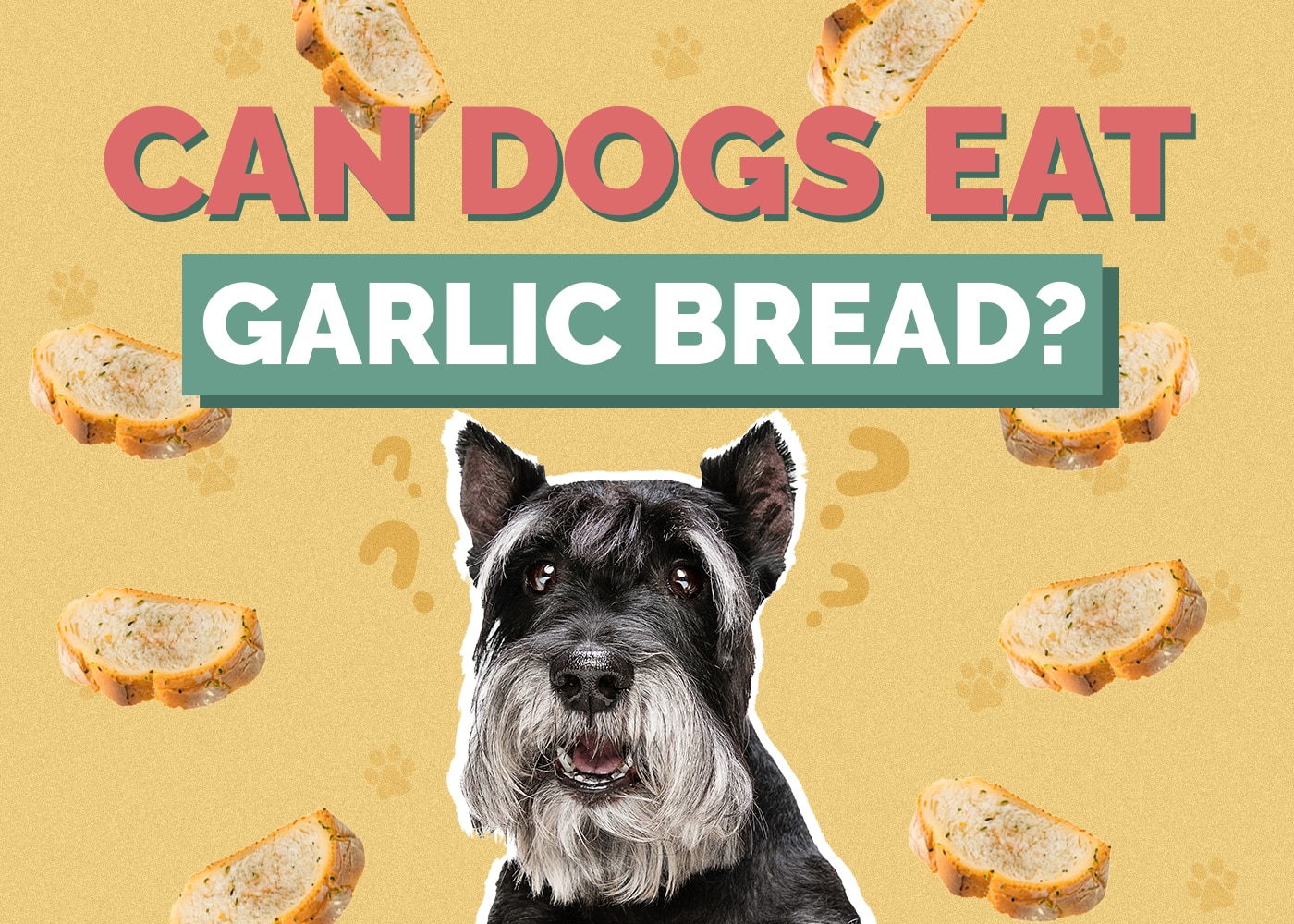 Can Dogs Eat Garlic Bread? Vet-Reviewed Info & FAQs
