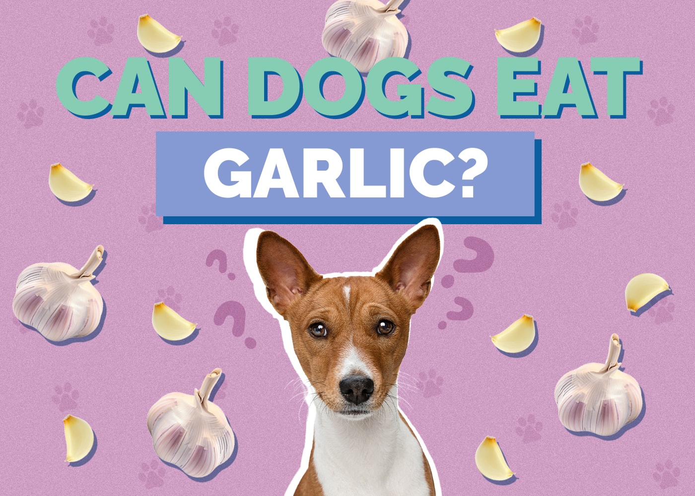 Can Dogs Eat Garlic? Is Garlic Safe for Dogs? Vet Approved Facts