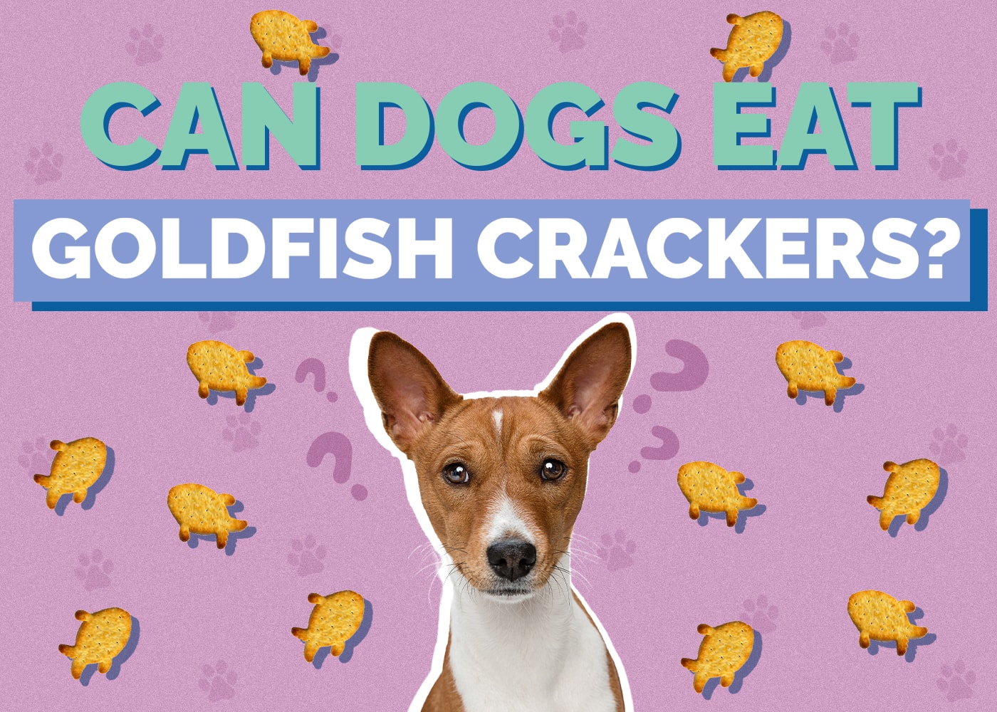 Can Dogs Eat Goldfish Crackers? Vet-Reviewed Facts & Safety Guide